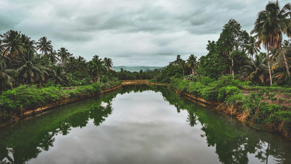 Tranquil river landscape with lush greenery and coconut trees in Baganga, Davao Region.